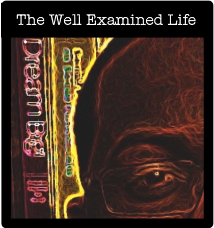 The examined life book